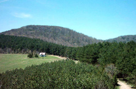 rudnik-planina-viki