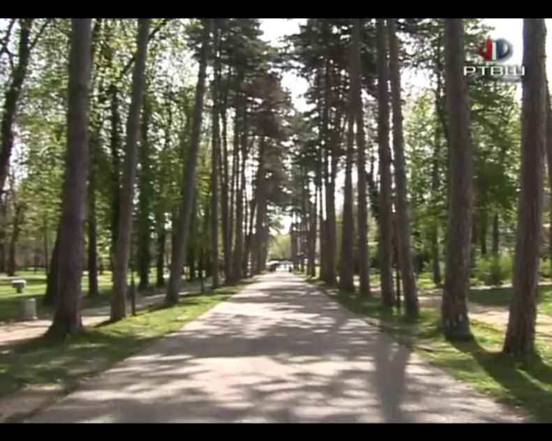 Screenshot_2019-06-22 RTV Šumadija - Bojan Radović, turizam - YouTube