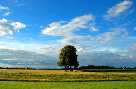 summer-landscape-1365683-639x424