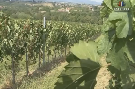 FireShot Capture 1347 - RTV Šumadija - Matijasevic Vinogradi - YouTube - www.youtube.com