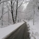 IMG-b3af5b2c8675039bafead3e4b3cec912-V