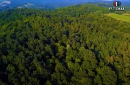 FireShot Capture 450 - RTV Šumadija - Srbija sume , planovi realizovani - YouTube - www.youtube.com