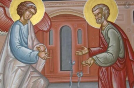 2446111_screenshot-3_ls