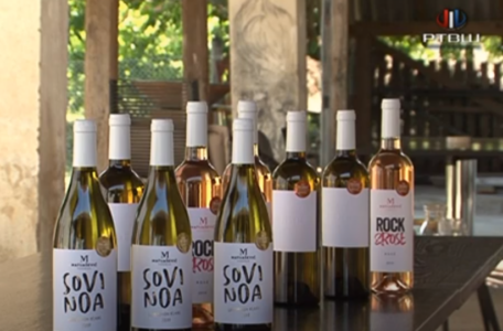 FireShot Capture 2377 - RTV Šumadija - Zlato za _SoviNoa_ - belo vino Matijašević vinograda _ - www.youtube.com