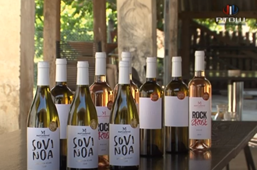 FireShot Capture 2377 - RTV Šumadija - Zlato za _SoviNoa_ - belo vino Matijašević vinograda _ - www.youtube.com