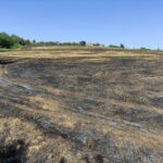 IMG-2cc93611bdf0ccfd8479206710863222-V