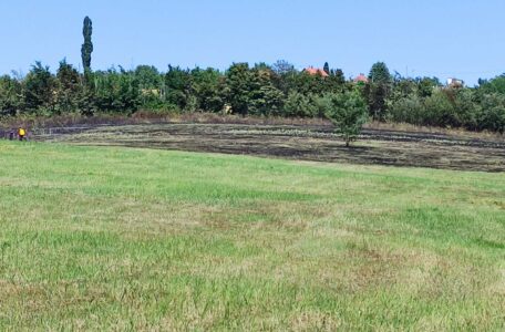 IMG-58c323781df1987e89207e1ba1703a00-V