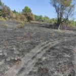 IMG-9db9da208e4224e6580c76e17227f48d-V