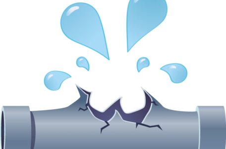 240386092_832515737466455_2298967140828359718_n