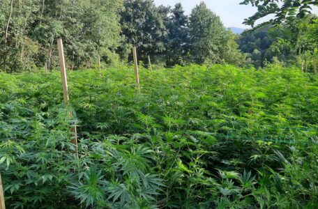 IMG-b91b3d85fe0b1308b68261832d10652e-V