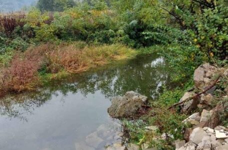 245531880_861387601245935_7899923328632188484_n