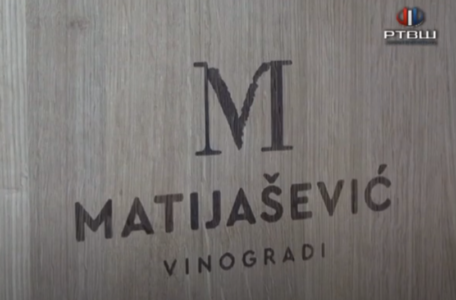 FireShot Capture 3050 - (2) RTV Šumadija - Remek dela vinarije _Matijašević vinogradi_ - You_ - www.youtube.com