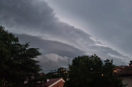 20230719_202037