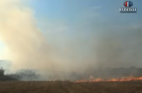 FireShot Capture 3154 - RTV Šumadija - Požar između Garaša i Darosave zahvatio 50 hektara - _ - www.youtube.com