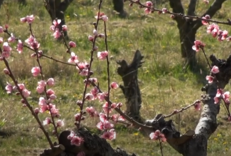 FireShot Capture 4480 - (12) RTV Šumadija -vremenska prognoza - YouTube - [www.youtube.com]