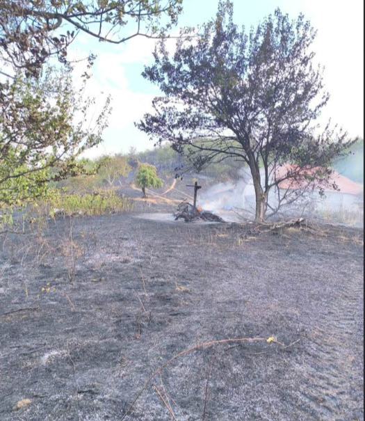 FireShot Capture 4742 - (bez naslova) - rtvsumadija@gmail.com - Gmail - [mail.google.com]