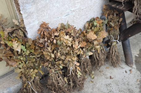 FireShot Capture 4595 - (20+) Facebook - www.facebook.com