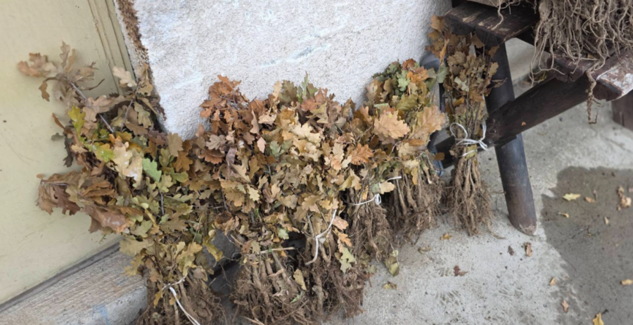 FireShot Capture 4595 - (20+) Facebook - www.facebook.com