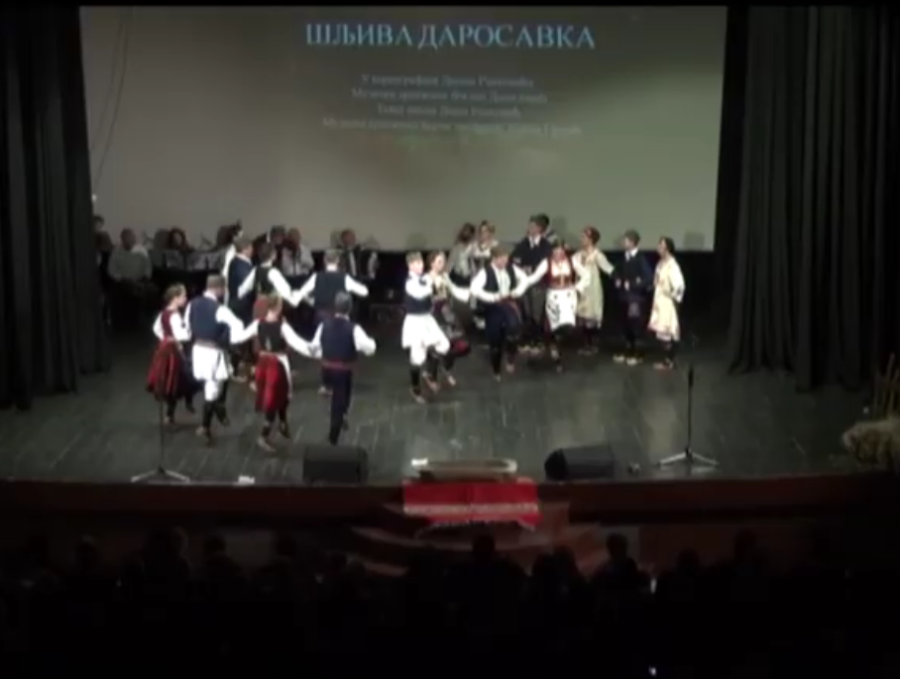 FireShot Capture 5049 - (1) RTV Šumadija -DNT _Šamot_ održao koncert u Dvorani park povodo_ - [www.youtube.com]