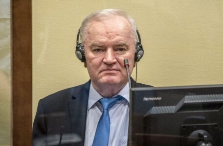 mladić